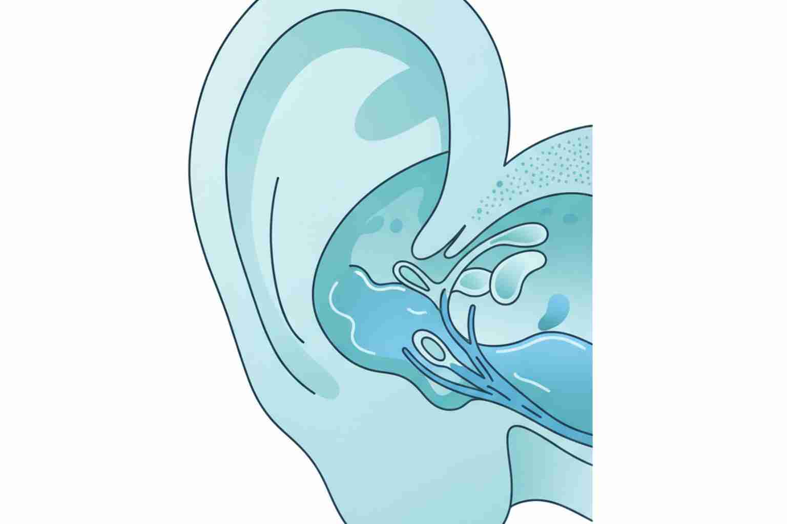 Adult ear infection medical illustration in blue and teal