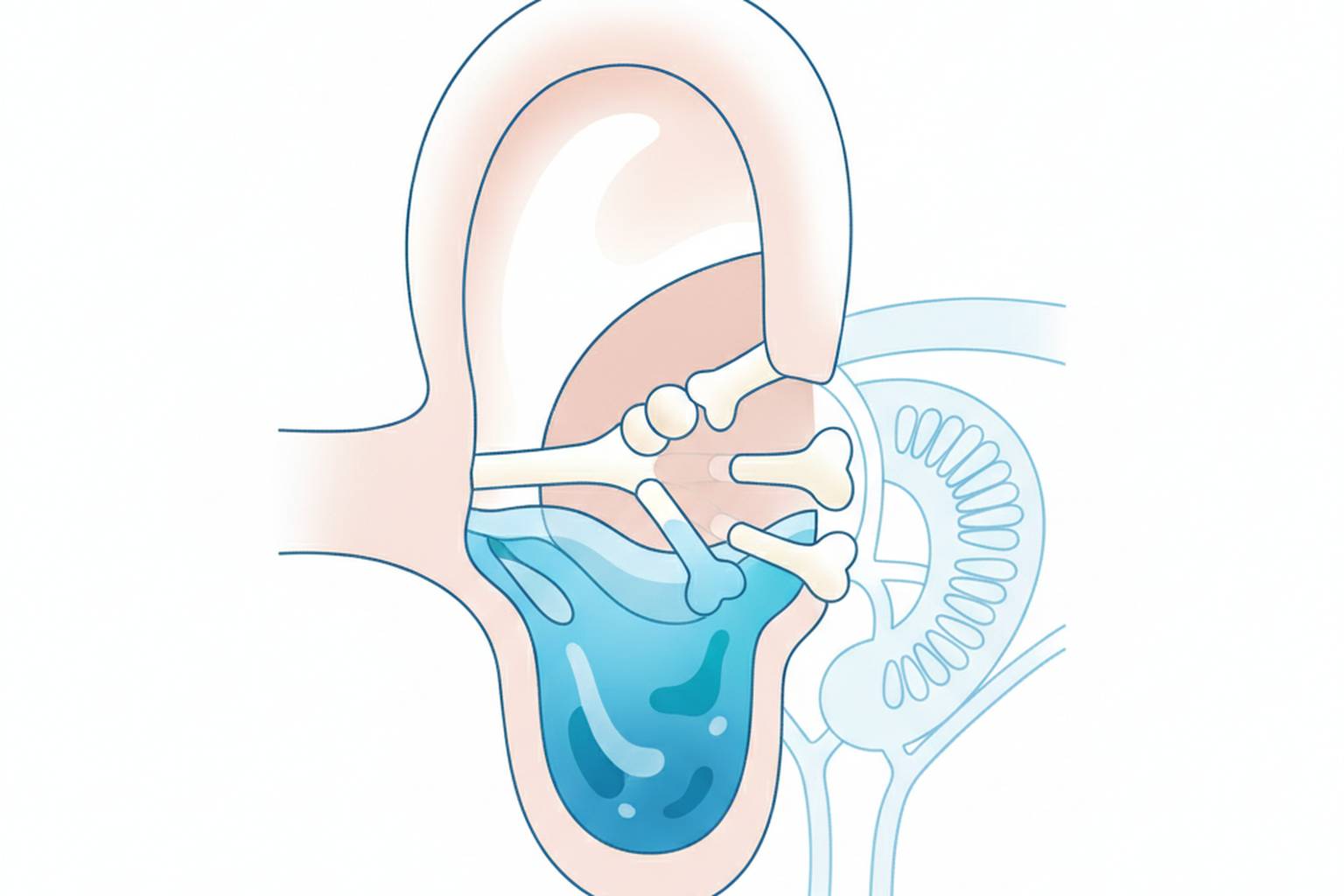Fluid in Ear: Causes, Symptoms, and How to Drain It Safely from licensed hearing specialists