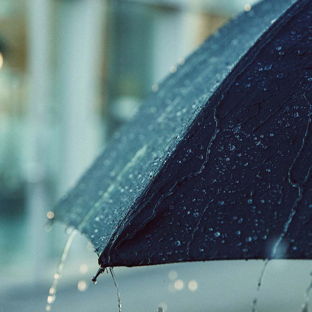 Hearing rain on an umbrella: the natural sounds Widex Moment restores