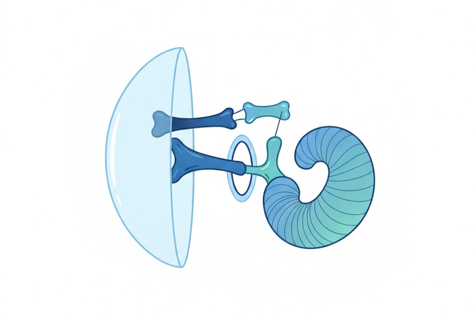 Otosclerosis: Symptoms, Causes, and Modern Treatment Options